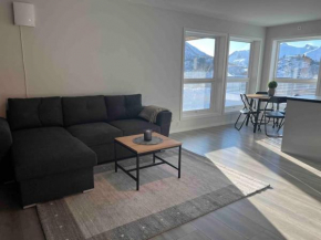 Romslig leilighet på Strandodden